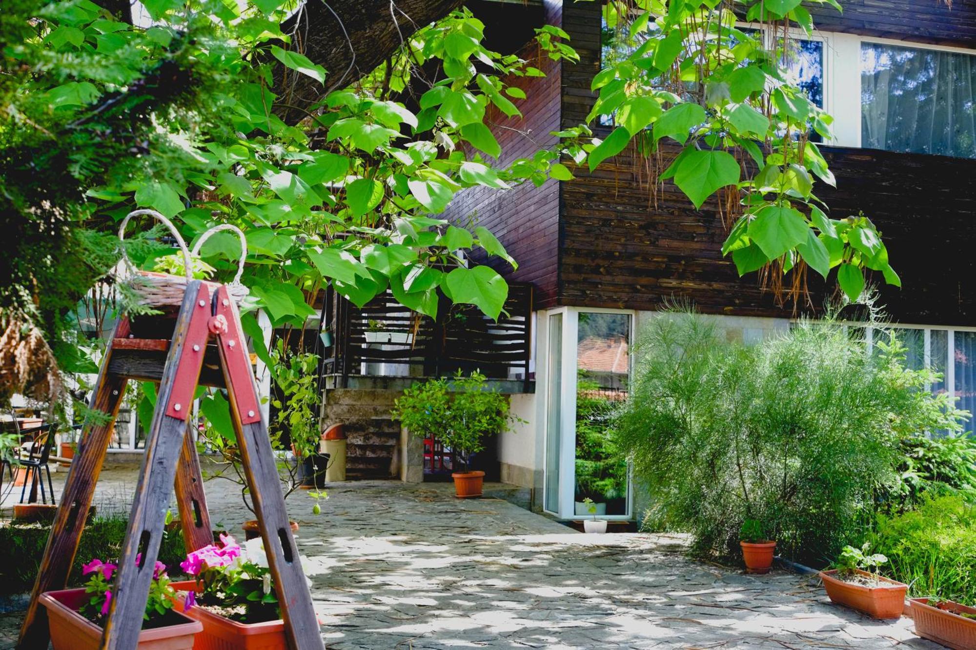Villa "Forest Way" Pirdop Extérieur photo